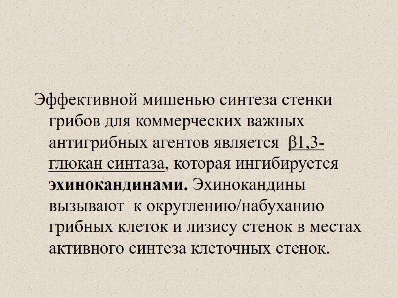 Эффективной мишенью синтеза стенки грибов для коммерческих важных антигрибных агентов является  β1,3-глюкан синтаза,